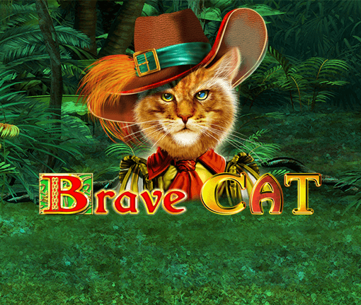 Brave Cat